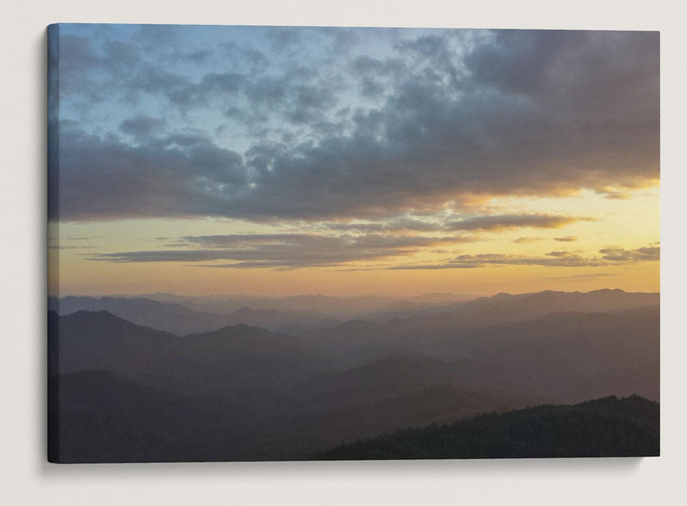 HJ Andrews Forest at Sunset, Willamette National Forest, Oregon