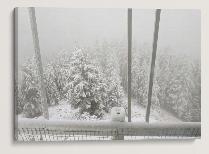 Early Winter Snow From Carpenter Mountain Fire Lookout, HJ Andrews Forest, Oregon, USA