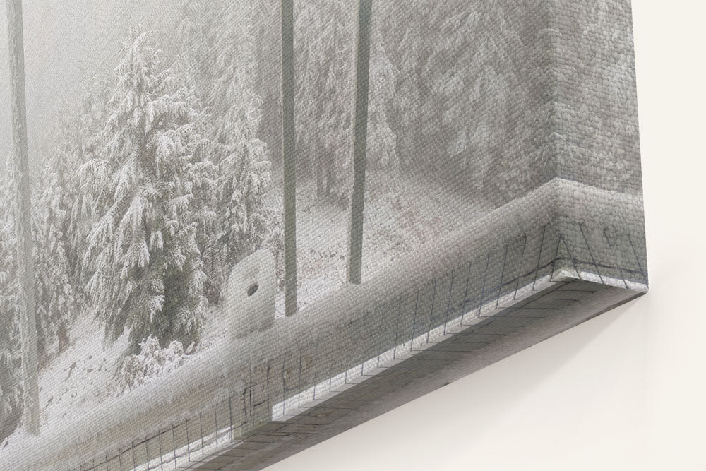 Early Winter Snow From Carpenter Mountain Fire Lookout, HJ Andrews Forest, Oregon, USA