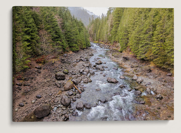 Blue River, Willamette National Forest, Oregon, USA
