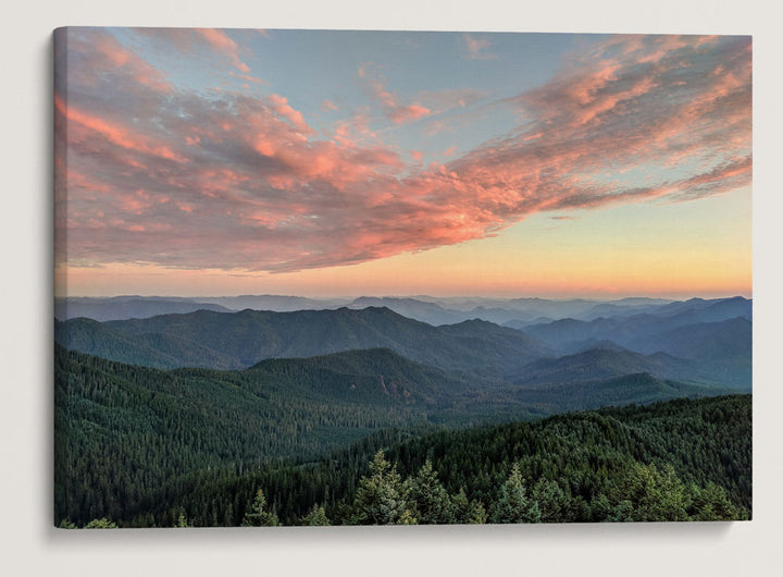 HJ Andrews Forest Sunset, Willamette National Forest, Oregon