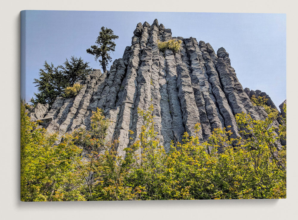 Basalt Rock Pillar & Vine Maples, Carpenter Mountain, HJ Andrews Forest, Oregon