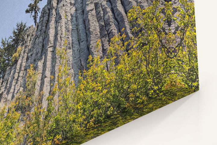 Basalt Rock Pillar & Vine Maples, Carpenter Mountain, HJ Andrews Forest, Oregon