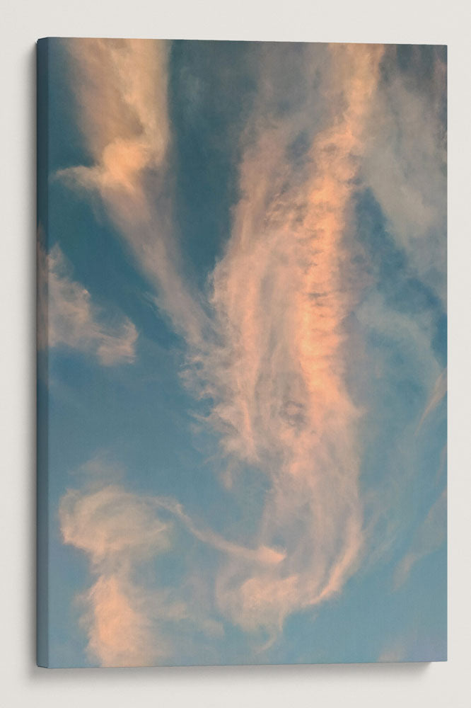 Pink-Colored Cirrus Clouds at Sunset, Carpenter Mountain, Willamette National Forest, Oregon, USA