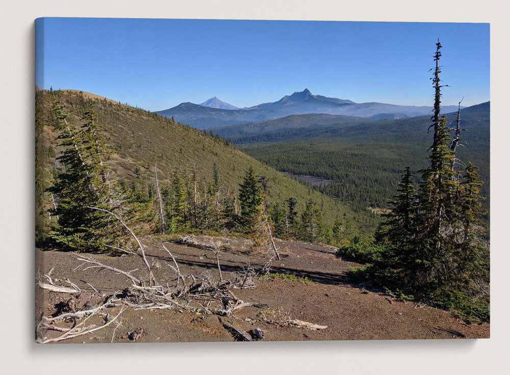 Three-Fingered Jack from Sand Mountain Fire Lookout, Willamette National Forest, Oregon, USA