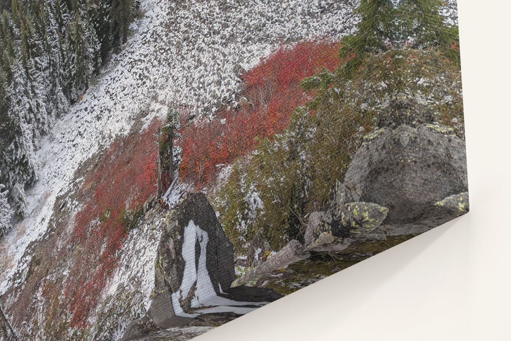 Talus Slope, From Carpenter Mountain Fire Lookout, HJ Andrews Forest, Oregon, USA