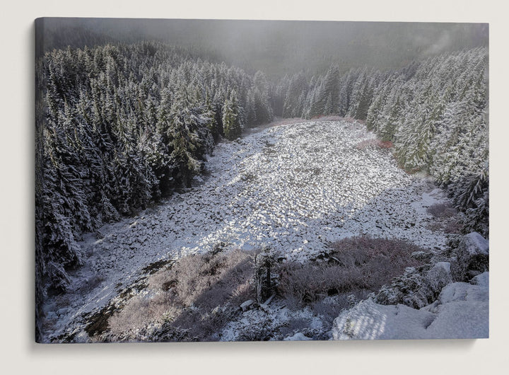 Talus Slope, From Carpenter Mountain Fire Lookout, HJ Andrews Forest, Oregon, USA