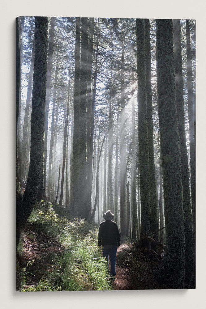 Hiker and Sun Rays, Carpenter Mountain, HJ Andrews Forest, Oregon