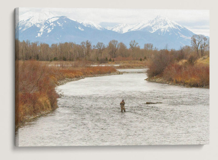 Fisherman and Yellowstone River, Absaroka-Beartooth Wilderness In Background, Montana