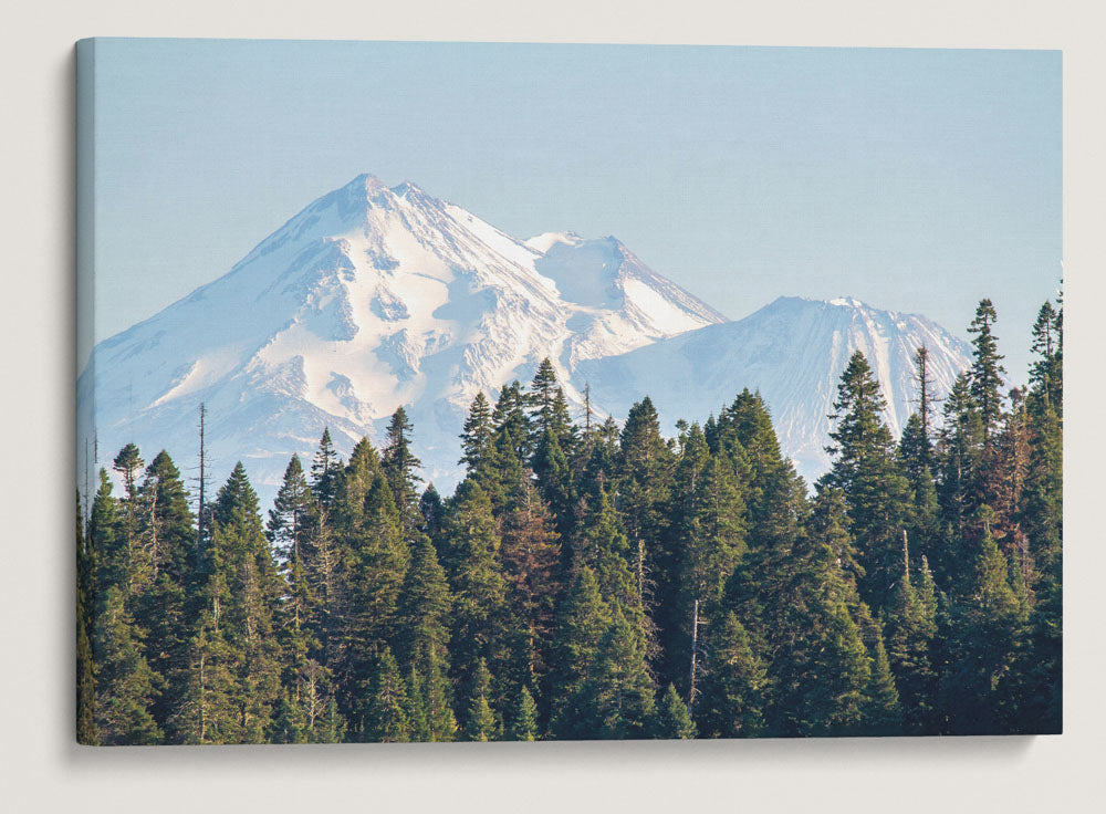 Mount Shasta From Hobart Bluff, Cascade-Siskiyou National Monument, Oregon