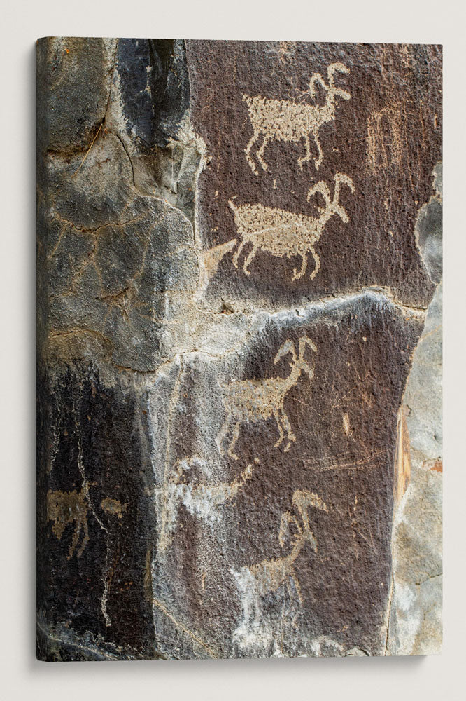 Native American Petroglyphs, Gingko Petrified Forest State Park, Washington