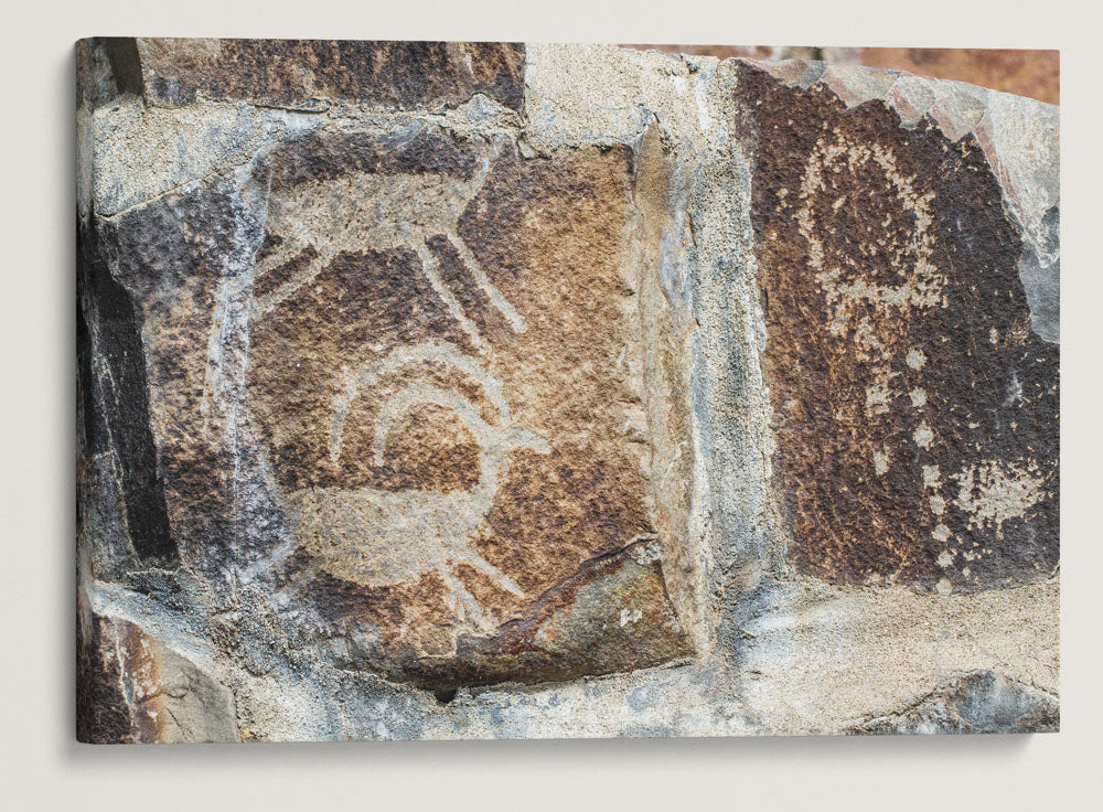 Native American Petroglyphs, Gingko Petrified Forest State Park, Washington
