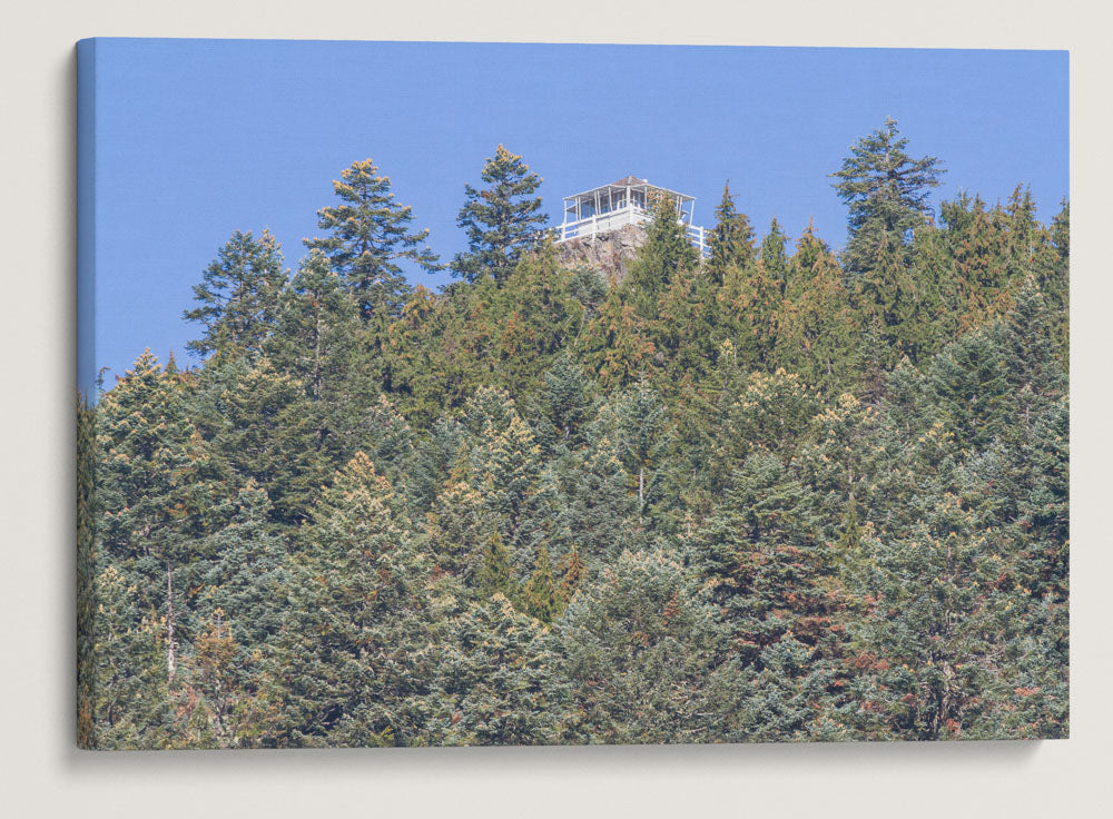 Carpenter Mountain Fire Lookout With Mountain Hemlocks and Noble Firs From Carpenter Saddle, Oregon, USA