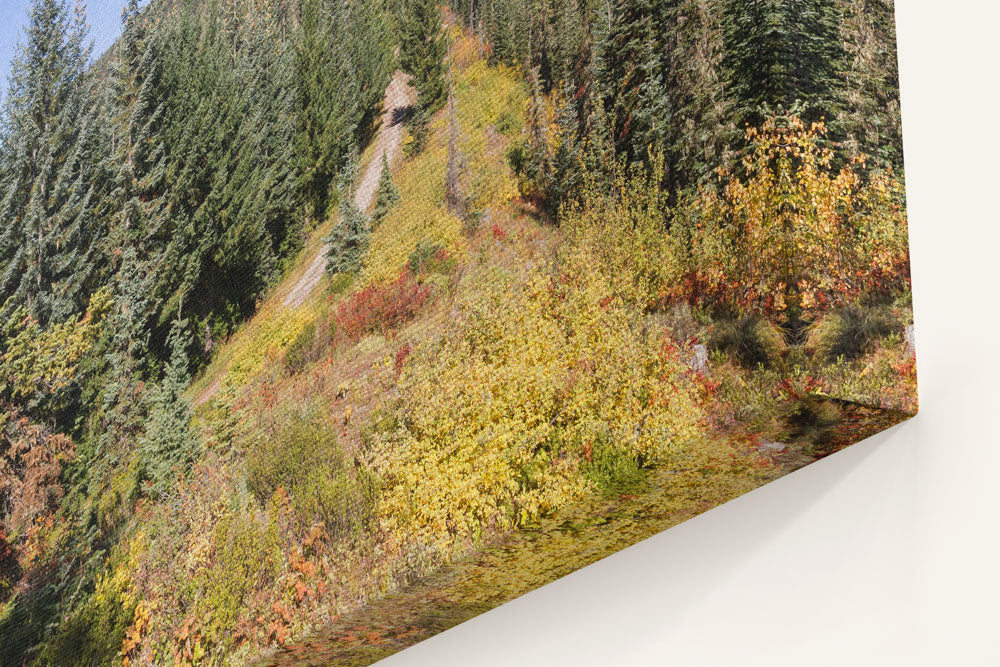 Carpenter Saddle and Carpenter Mountain, HJ Andrews Forest, Oregon, USA