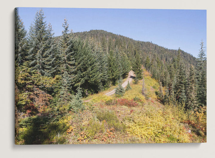 Carpenter Saddle and Carpenter Mountain, HJ Andrews Forest, Oregon, USA