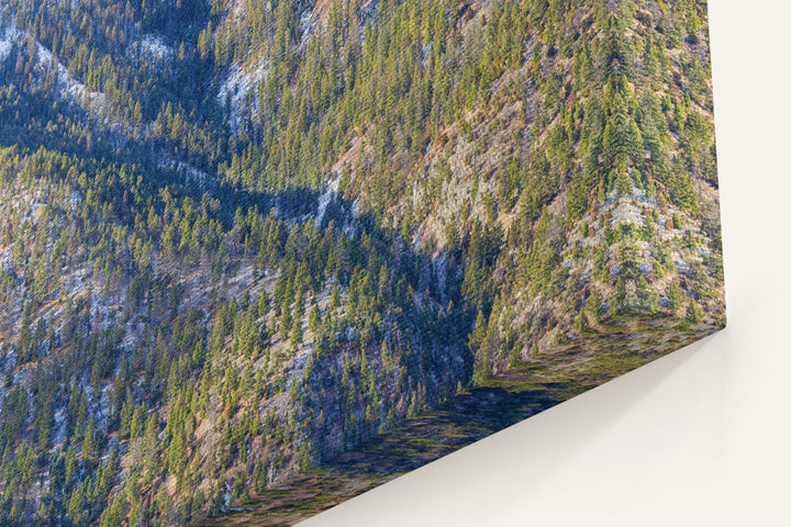 Mountain Forest Drainage, Yellowstone National Park, Montana