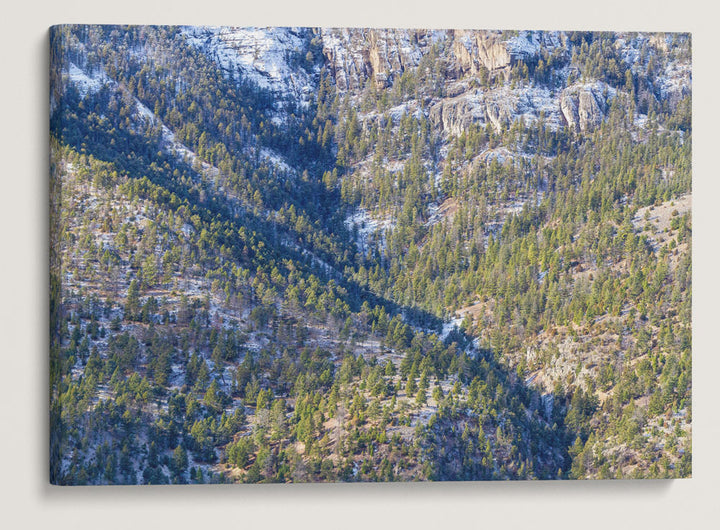 Mountain Forest Drainage, Yellowstone National Park, Montana