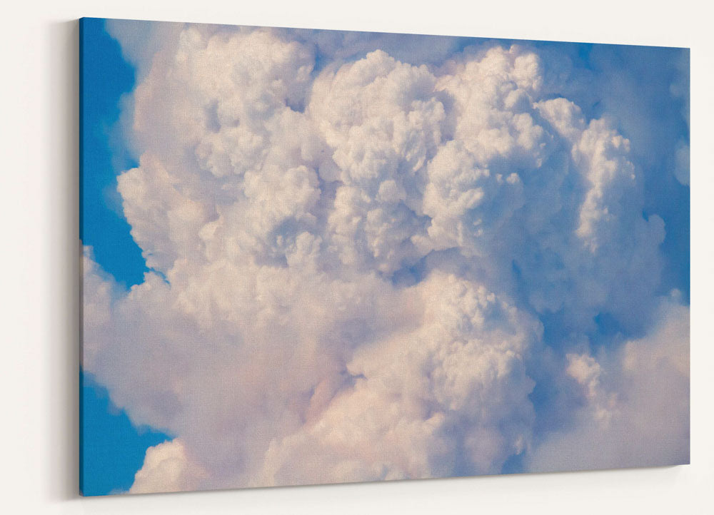 Wildfire Smoke Column Closeup, Willamette National Forest, Oregon