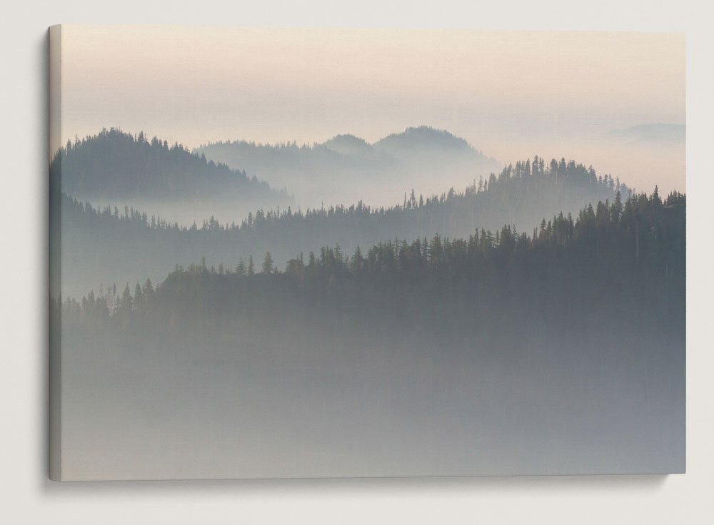 Heavy Wildfire Smoke, Willamette National Forest, Oregon