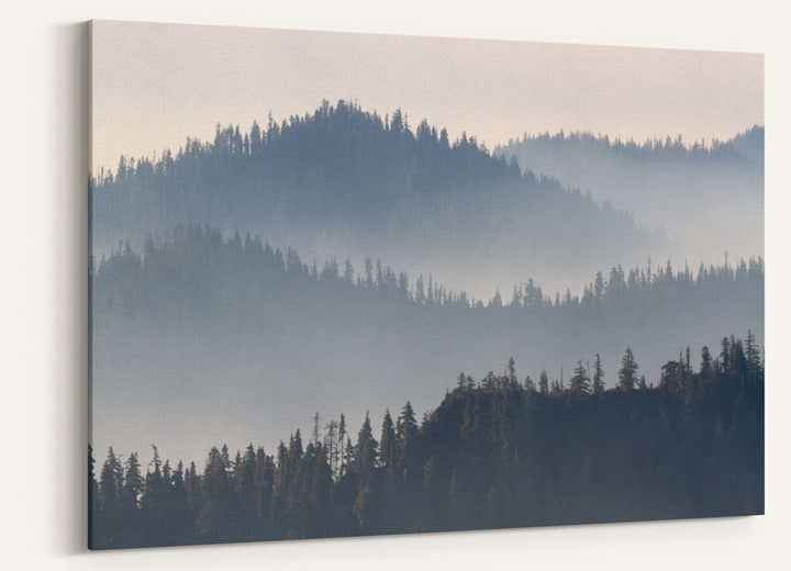 Heavy Wildfire Smoke and Ridgelines, Willamette National Forest, Oregon