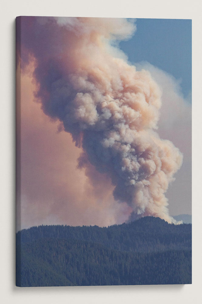 Wildfire Smoke Column, Willamette National Forest, Oregon, USA