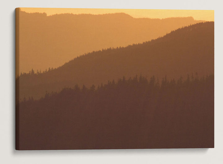 West Cascades at Sunset, Willamette National Forest, Oregon, USA