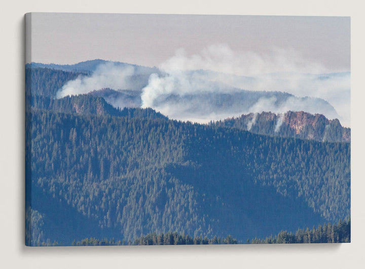 Terwilliger Wildfire, Willamette National Forest, Oregon, USA