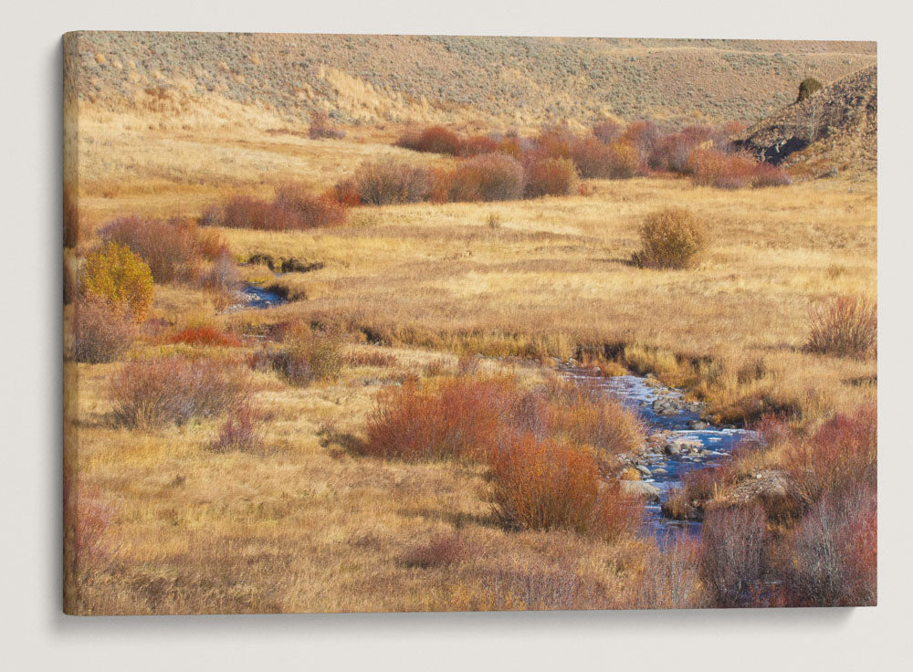 Blacktail Creek in Autumn, Yellowstone National Park, Wyoming, USA
