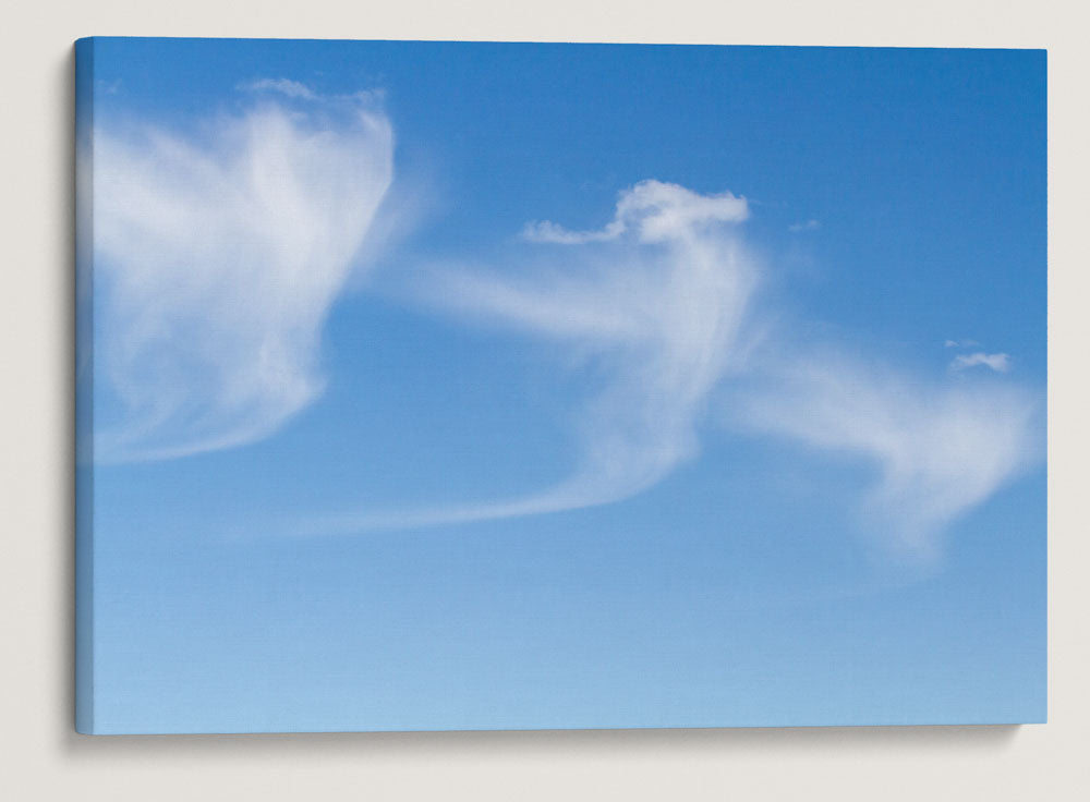 Cirrus Clouds Over Cascades Mountains, Willamette National Forest, Oregon, USA