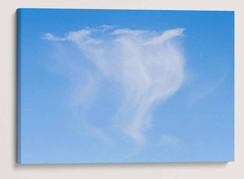 Cirrus Clouds Over Cascades Mountains, Willamette National Forest, Oregon, USA