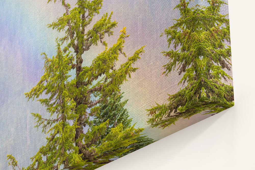 Rainbow and Mountain Hemlocks From Carpenter Mountain Fire Lookout, Willamette National Forest, Oregon, USA