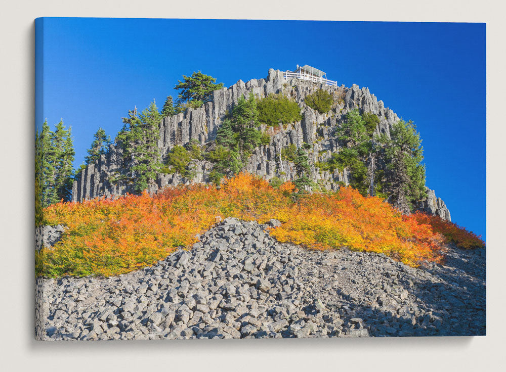 Carpenter Mountain Fire Lookout and Vine Maples In Autumn, HJ Andrews Forest, Oregon