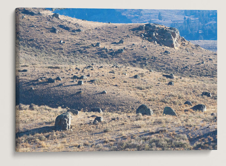 Glacial Erratic Boulders, Lamar Valley, Yellowstone National Park, Wyoming, USA