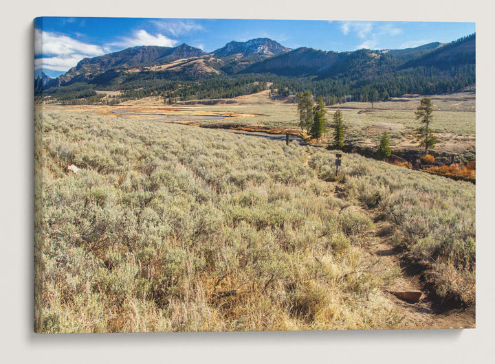 Mount Norris, Lamar River Trail, Lamar Valley, Yellowstone National Park, Wyoming