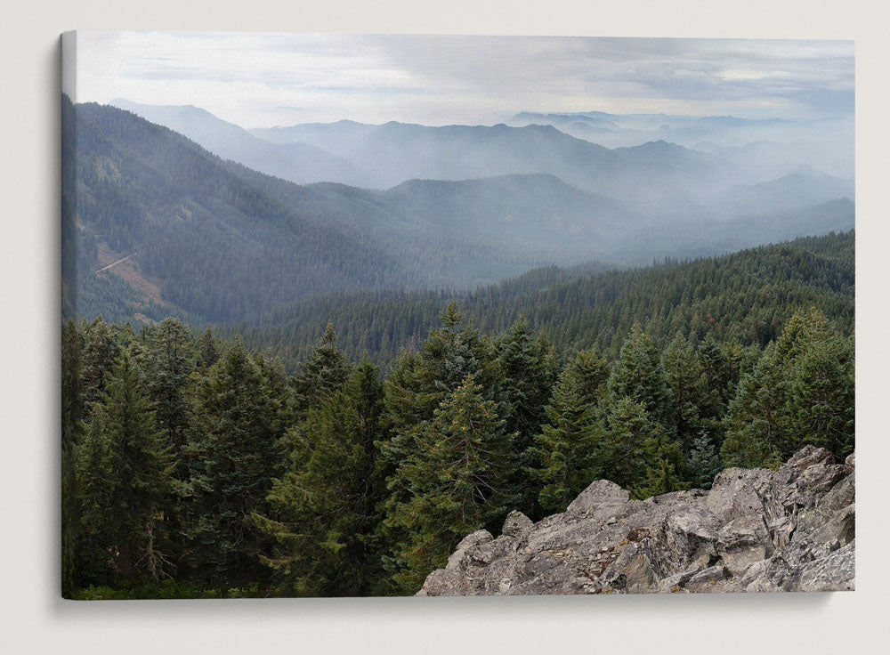 Wildfire Smoke Moving Onto HJ Andrews Forest and Lookout Creek Drainage, Oregon, USA