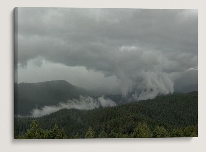 Thunderstorm Over H.J. Andrews Experimental Forest, Oregon, USA