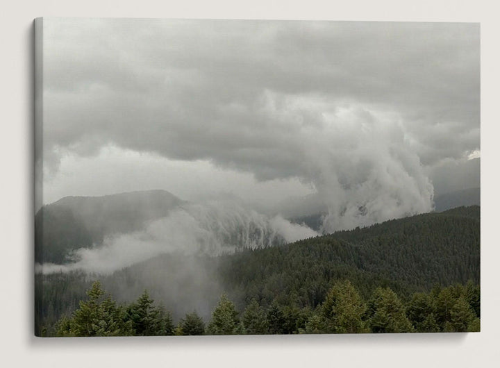 Thunderstorm Over H.J. Andrews Experimental Forest, Oregon, USA