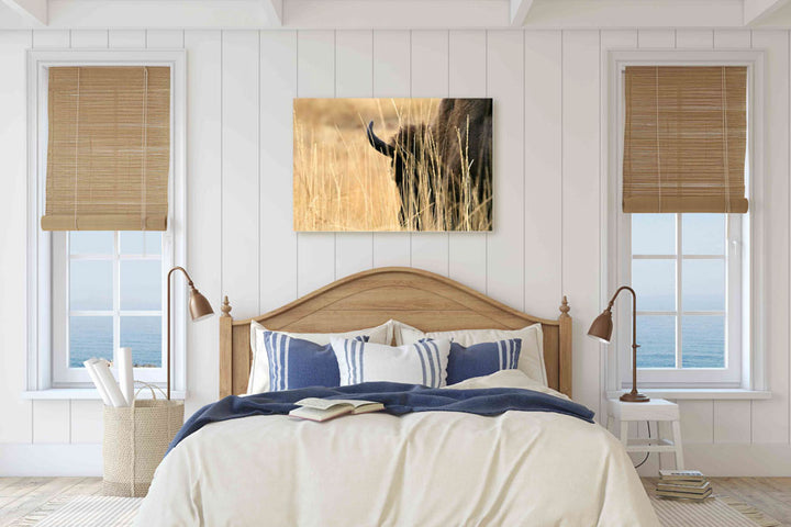 American bison in tall grass, National Bison Range, Montana