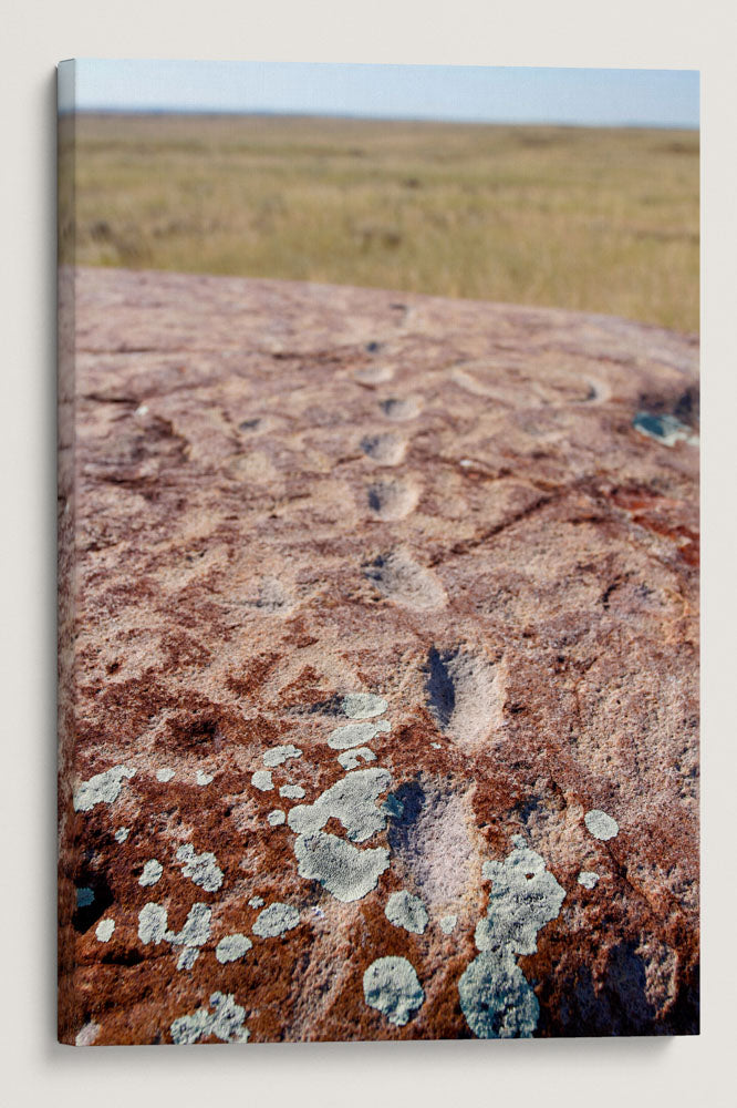 Native American Petroglyphs, Indian Rock, American Prairie Reserve, Montana