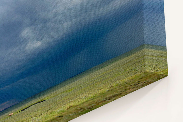 Prairie thunderstorm, Eastern Montana