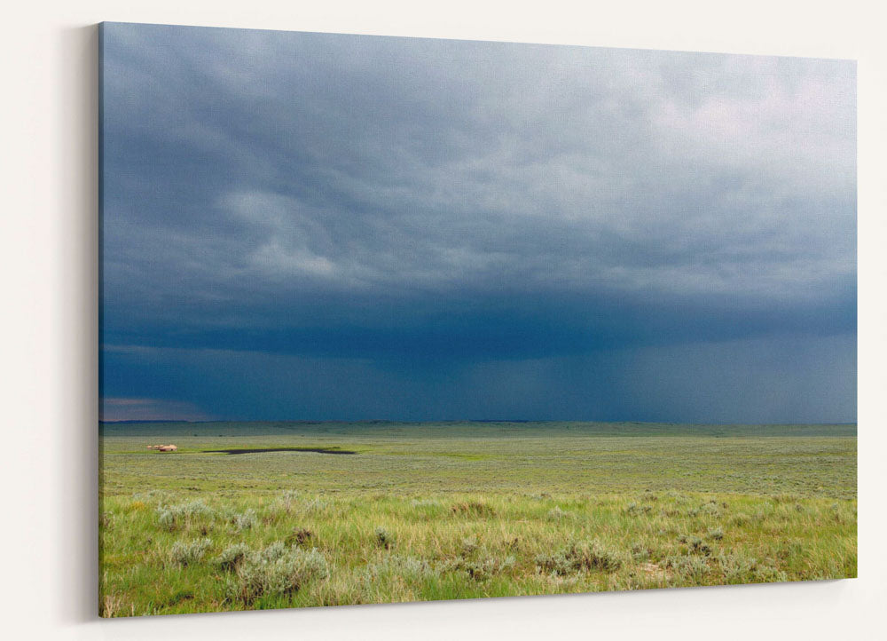 Prairie thunderstorm, Eastern Montana