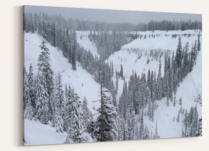 Annie Creek Canyon winter snow covered forested, Crater Lake National Park, Oregon