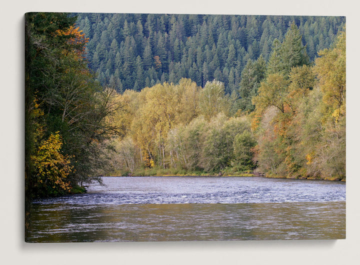 McKenzie River in Autumn, Willamette National Forest, Oregon