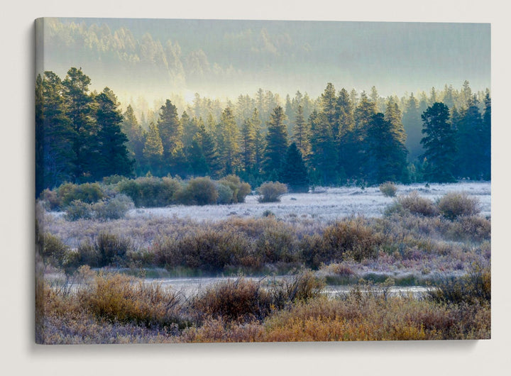 Blackfoot River Floodplain In Autumn, Montana, USA