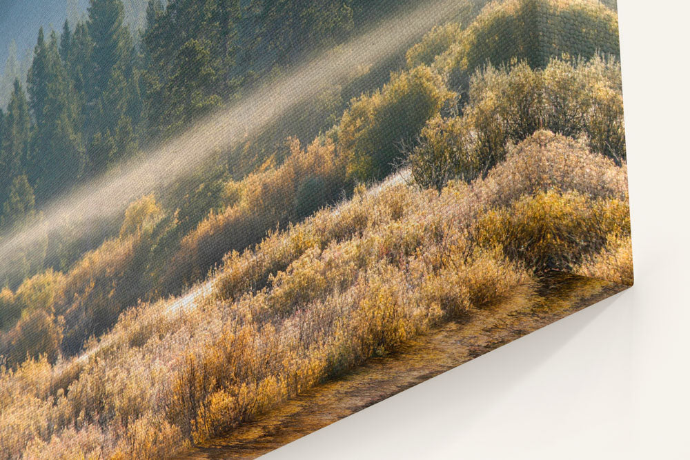 Blackfoot River Floodplain In Autumn, Montana, USA