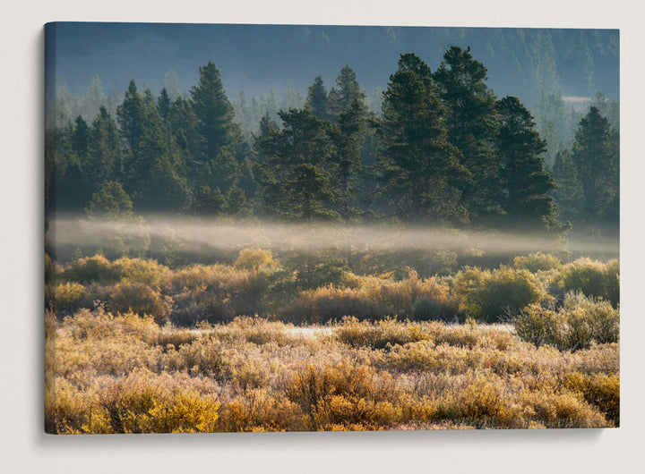 Blackfoot River Floodplain In Autumn, Montana, USA