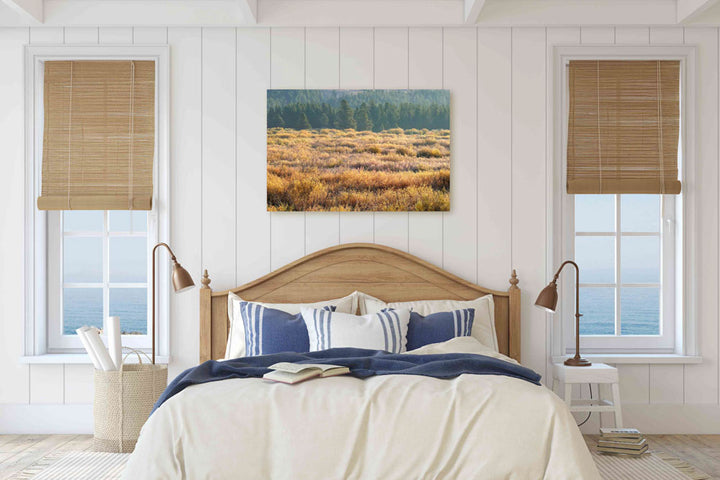 Blackfoot River Fall-Colored Floodplain, Montana