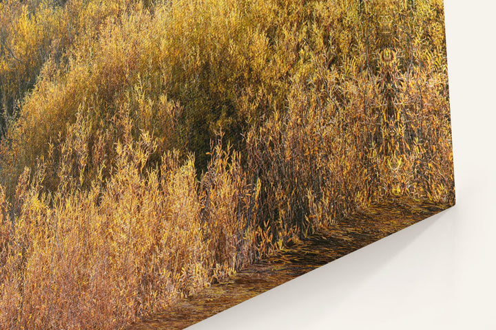 Shrubs in Autumn Along Blackfoot River, Montana, USA