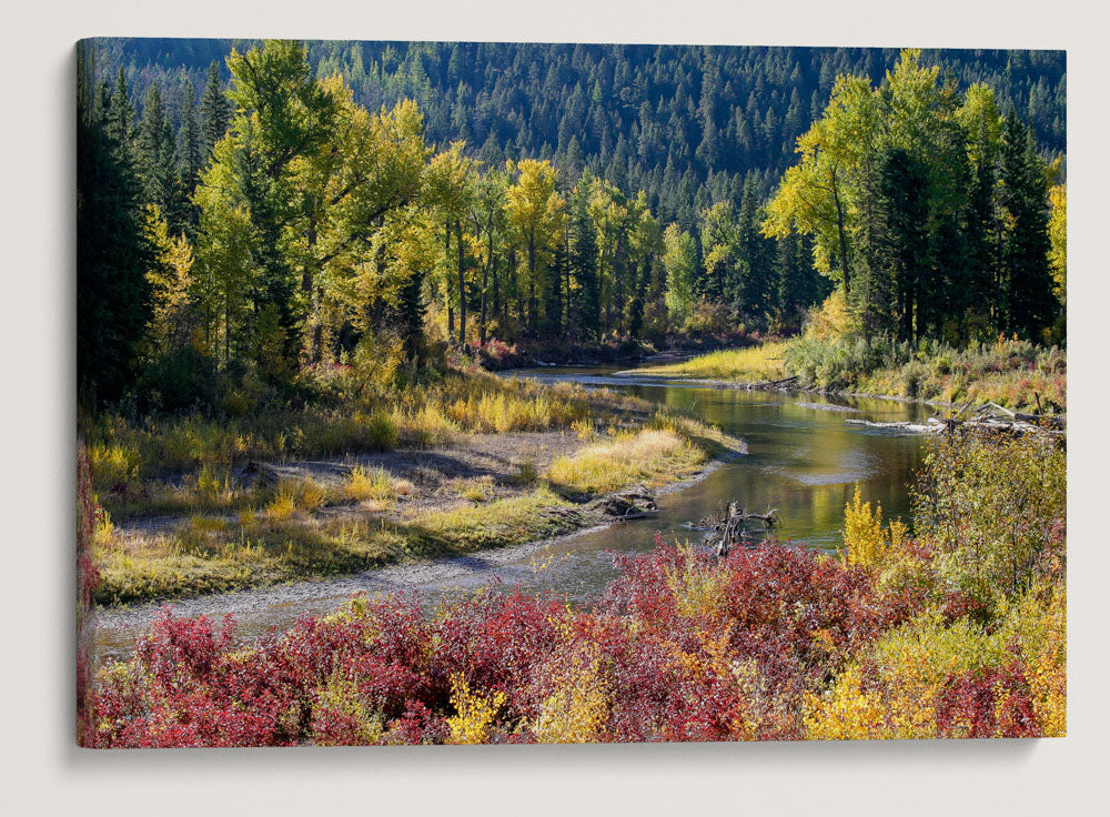 Blackfoot River at Autumn, Montana