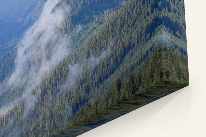 Low Clouds and Blue River Ridge, HJ Andrews Forest, Oregon